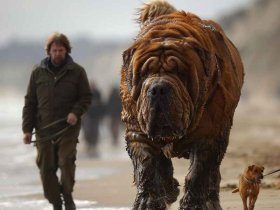 世界上走路相当霸气的人、世界上走路相当霸气的人有哪些