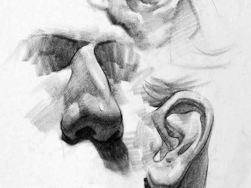 世界名人素描画教程；世界名人素描画教程图片