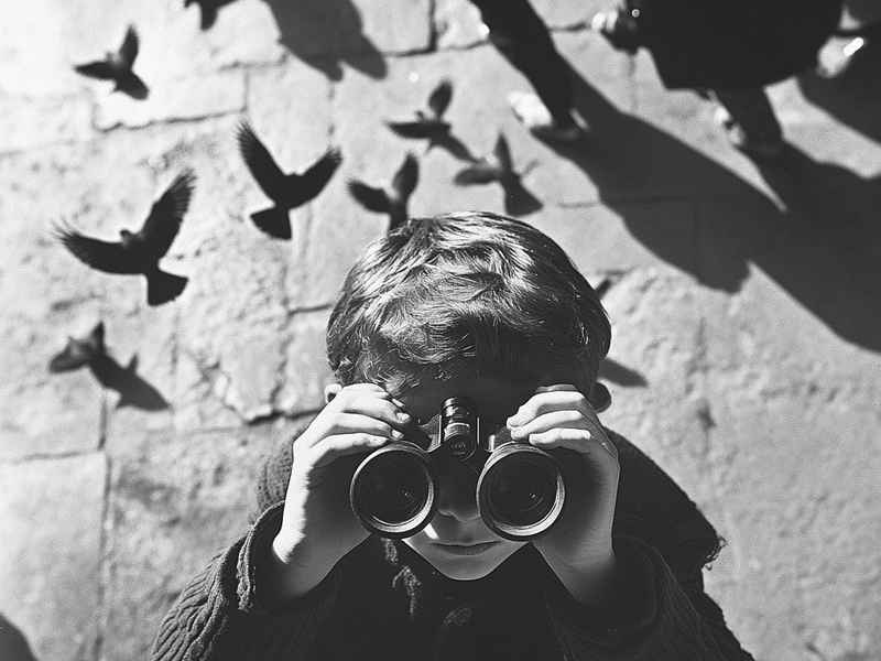 世界摄影史经典照片图文、世界摄影史经典照片图文并茂