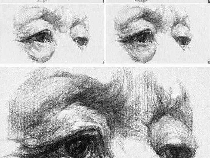 人物速写头部教案，速写人物头像教案