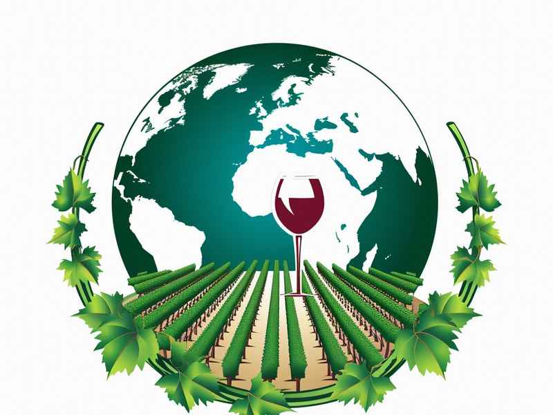 高校世界粮食日和全国粮食安全宣传周活动方案 2020年世界粮食日和全国粮食安全宣传周活动方案