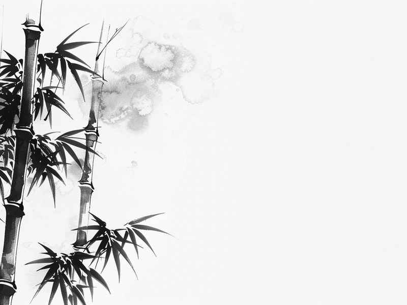 带有历史故事的成语ppt（历史故事成语课mp3）
