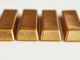 黄金蟒蛇简介 - 黄金蟒的简介