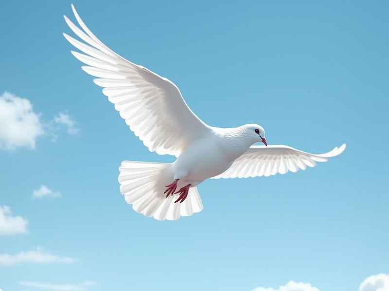 鸽子趣事奇闻作文400字 鸽子趣事奇闻作文400字左右 鸽子趣事奇闻作文400字 鸽子趣事奇闻作文400字左右