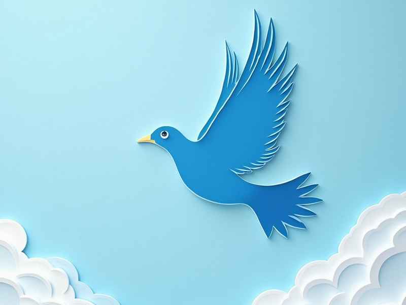 鸽子趣事奇闻作文怎么写，鸽子趣事奇闻作文怎么写三年级