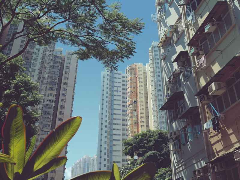 卧龙区七里园街道边庄村 - 卧龙区七里园街道边庄村拆迁