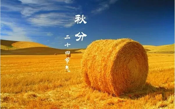 秋分-秋分早霜降迟的意思