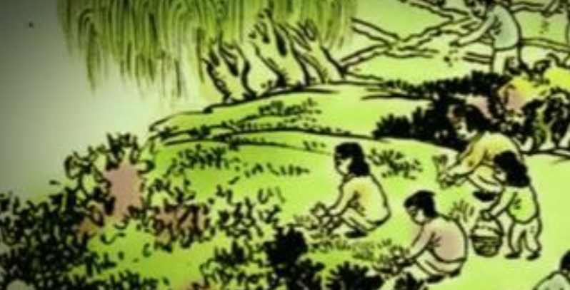 清明节-清明节扫墓，为什么