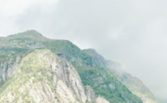 历史中7月5日是什么特殊日子？发生过哪些大事？