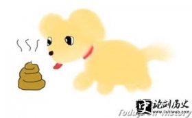 狗-“狗改不了吃屎”的说法由来 为什么成为骂人的话