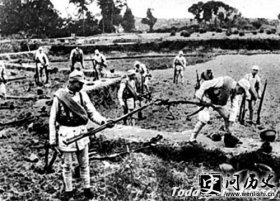 长沙会战-长沙会战薛岳为何选长沙作战场 长沙会战烈士遗骸回乡