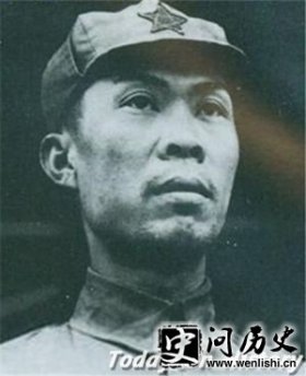 刘畴西-独臂将军刘畴西简介 刘畴西子女后代何在？